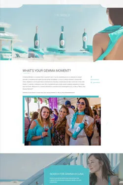 Internet Service Provider Layout Preview